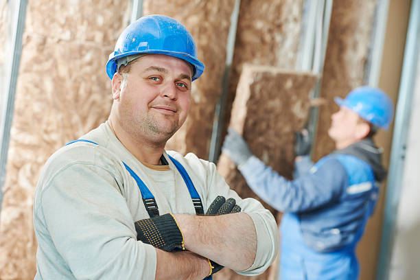 Best Insulation Installation Services in Blue Earth, MN